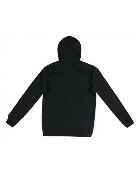 PUMA ESS+ COLORBLOCK HOOD
