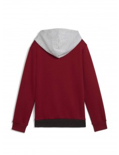 Sudadera PUMA ESS BLOCK Hoodie FL, Intense Red 2