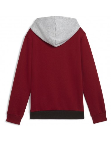 Sudadera PUMA ESS BLOCK Hoodie FL, Intense Red