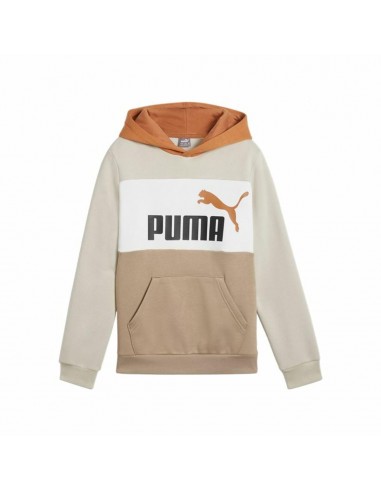 Sudadera PUMA ESS BLOCK Hoodie FL, Desert Dust