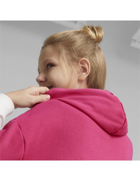 PUMA POWER Colorblock CAT Hoodie G-64