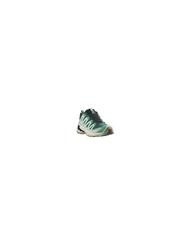 ZAPATILLAS SALOMON XA PRO 3D V9 GTX WOMAN