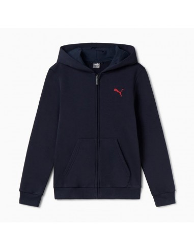PUMA ESS+ GRAPHIC Hoodie FZ FL B - blue