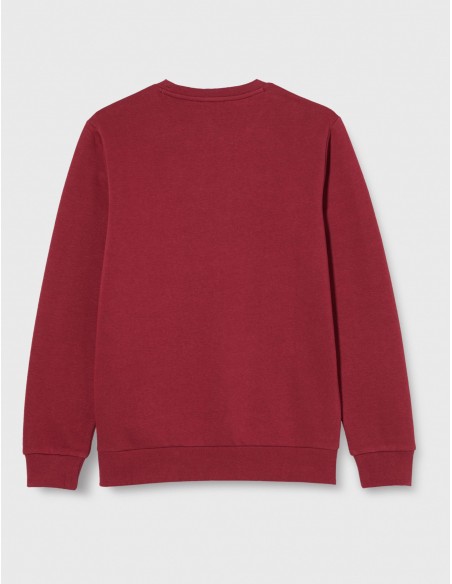 CHAMPION SUDADERA CUELLO CAJA