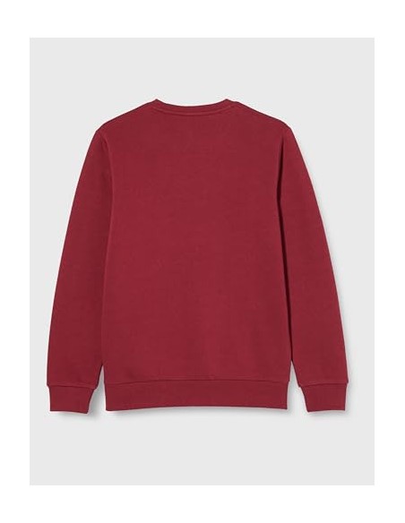 CHAMPION SUDADERA CUELLO CAJA