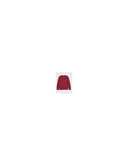 CHAMPION SUDADERA CUELLO CAJA
