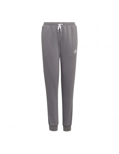 Pantalón largo ADIDAS-ENT22 SW...