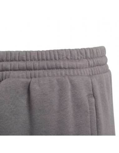 Pantalón largo ADIDAS-ENT22 SW...
