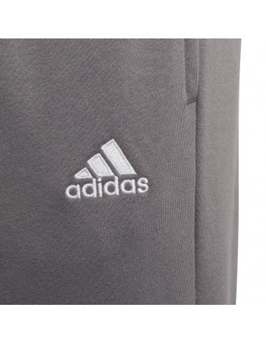 Pantalón largo ADIDAS-ENT22 SW...