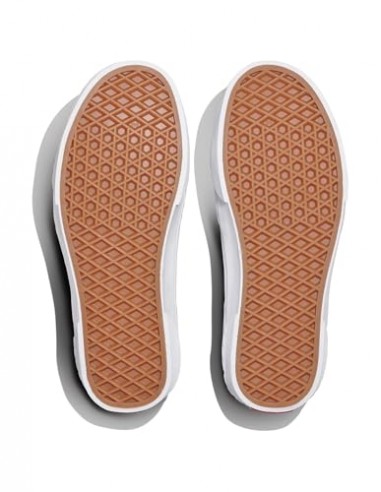 ZAPATILLA VANS CALDRONES SUEDE/MESH WHITE...