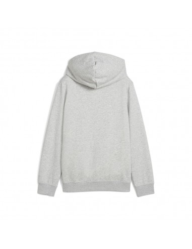 Sudadera Puma-MID90S Hoodie TR B-685148-04-GRIS...