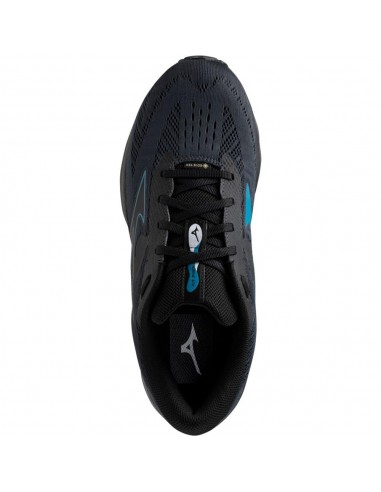 MIZUNO SHOE WAVE SERENE GTX J1GC246001