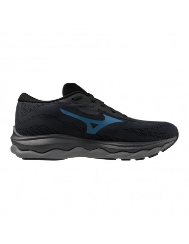 MIZUNO SHOE WAVE SERENE GTX J1GC246001