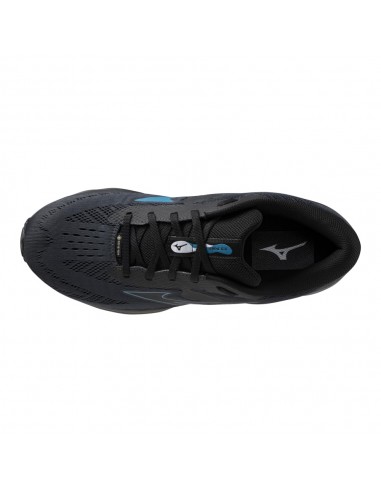 MIZUNO SHOE WAVE SERENE GTX J1GC246001