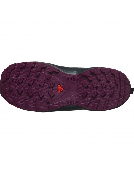 SALOMON SHOES XA PRO V8  CSWP J 47568100 NEPTUN/CARBON/PLU