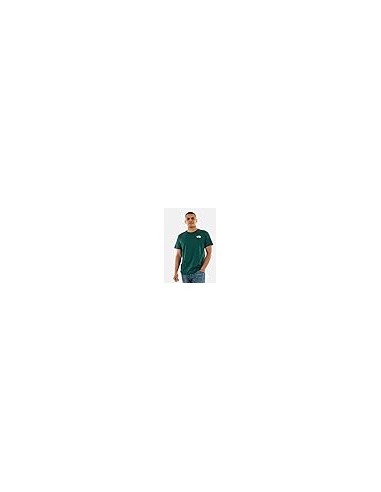 CAMISETA TNF MEN'S S/S BOX NSE TEE FOREST GREEN