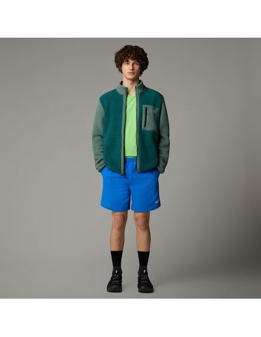 SHORTS TNF MEN'S WATER SHORT