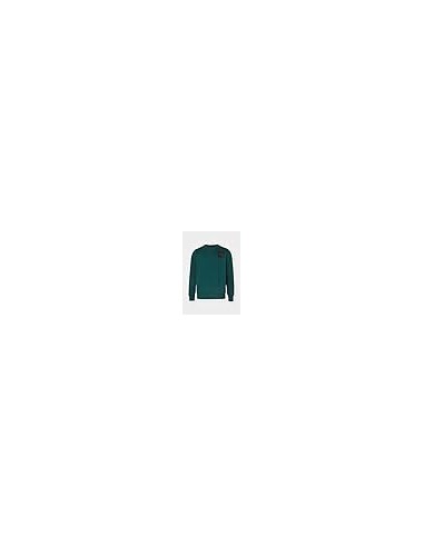 SUDADERA MEN'S FINE CREW GREEN