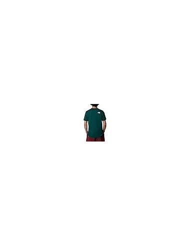 CAMISETA TNF MEN'S S/S SIMPLE DOME TEE