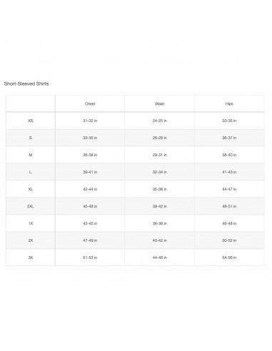 CAMISETA TNF WOMEN'S FLEX S/S TEE REG