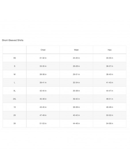 CAMISETA TNF WOMEN'S FLEX S/S TEE REG