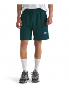 PANTALONES CORTOS TNF MEN'S BOX REGULAR SHORT - VERDE