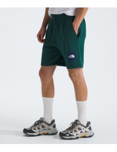PANTALONES CORTOS TNF MEN'S BOX REGULAR SHORT - VERDE 2