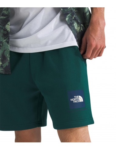 PANTALONES CORTOS TNF MEN'S BOX REGULAR SHORT -...