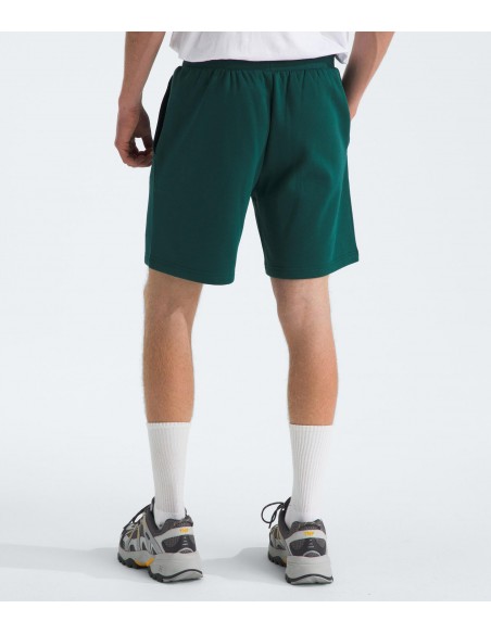PANTALONES CORTOS TNF MEN'S BOX REGULAR SHORT - VERDE