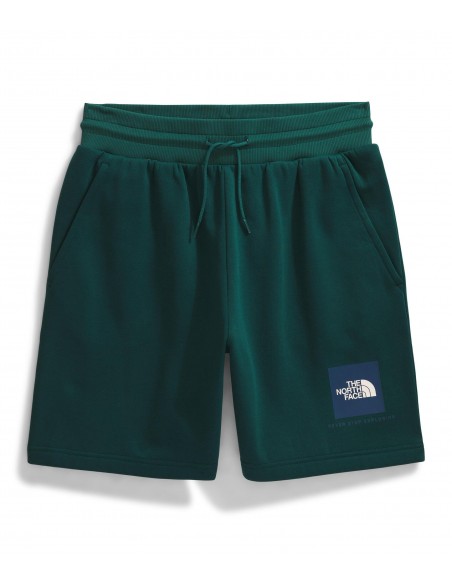 PANTALONES CORTOS TNF MEN'S BOX REGULAR SHORT - VERDE