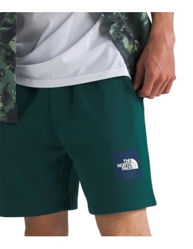 PANTALONES CORTOS TNF MEN'S BOX REGULAR SHORT -...