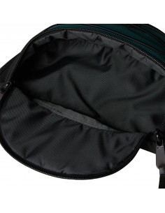 RIÑONERA TNF JESTER LUMBAR  - VERDE MUSGO 2