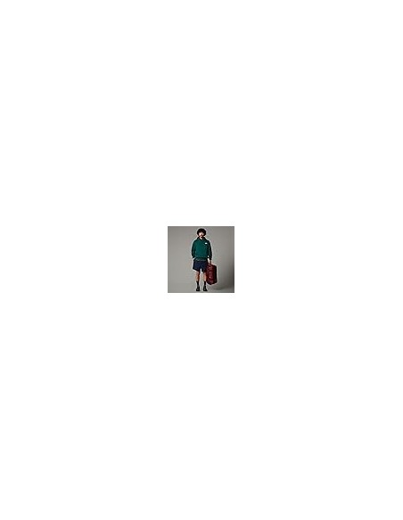SUDADERA TNF MEN'S SIMPLE DOME HOODIE