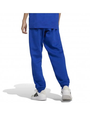 Pantalón de chándal Adidas-J ALLSZN GFX...