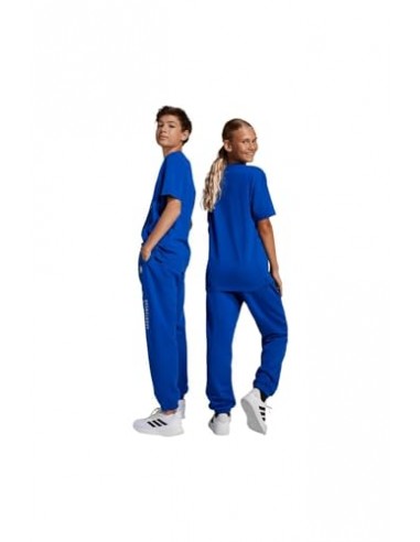 Pantalón de chándal Adidas-J ALLSZN GFX...