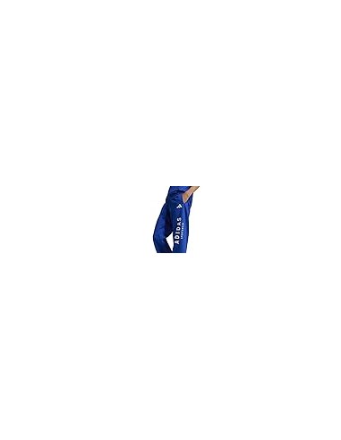 Pantalón de chándal Adidas-J ALLSZN GFX...