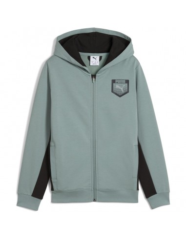 Chaqueta Puma-ACTIVE SPORTS Graphic Hoodie...