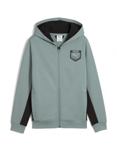 Chaqueta Puma-ACTIVE SPORTS Graphic Hoodie...