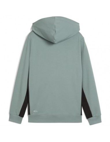 Chaqueta Puma-ACTIVE SPORTS Graphic Hoodie...