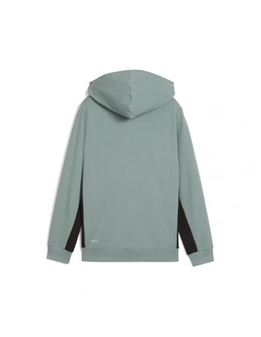 Chaqueta Puma-ACTIVE SPORTS Graphic Hoodie...