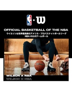 WILSON TRIBUTE BASKET BOSTON CELTICS 7 2