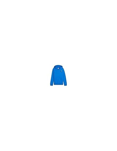 Sudadera Puma-PUMA ESS 2 COLOR Nº 1 LOGO HOODIE
