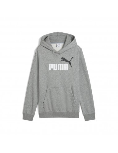 Sudadera Puma-PUMA ESS 2 COLOR Nº 1 LOGO HOODIE
