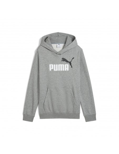 Sudadera Puma-PUMA ESS 2 COLOR Nº 1 LOGO HOODIE