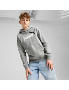Sudadera Puma-PUMA ESS 2 COLOR Nº 1 LOGO HOODIE 2