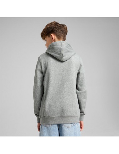 Sudadera Puma-PUMA ESS 2 COLOR Nº 1 LOGO HOODIE