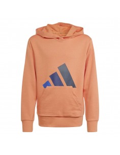 SUDADERA J BL FT HD 280