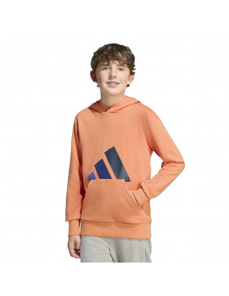 SUDADERA J BL FT HD 280