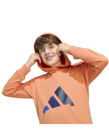 SUDADERA J BL FT HD 280