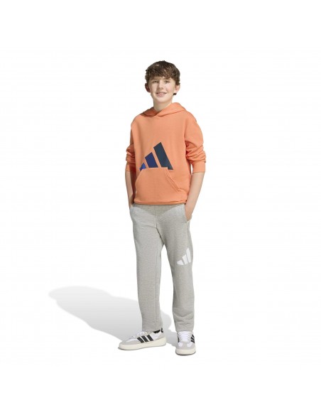 SUDADERA J BL FT HD 280